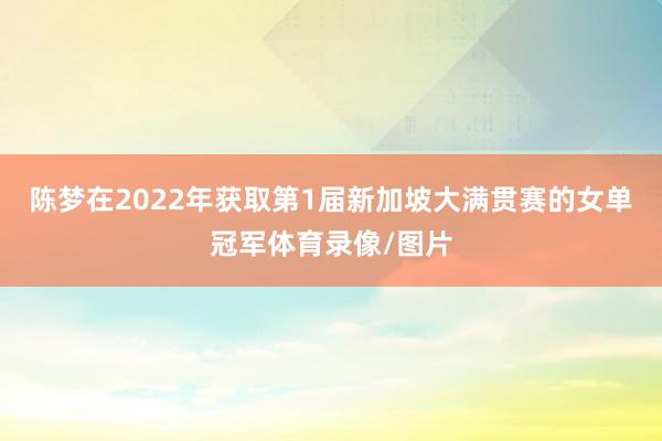 陈梦在2022年获取第1届新加坡大满贯赛的女单冠军体育录像/图片