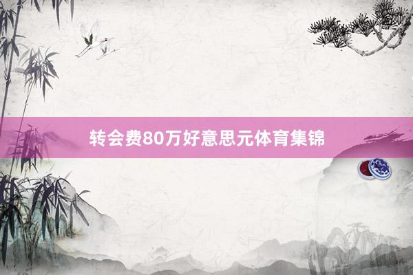 转会费80万好意思元体育集锦