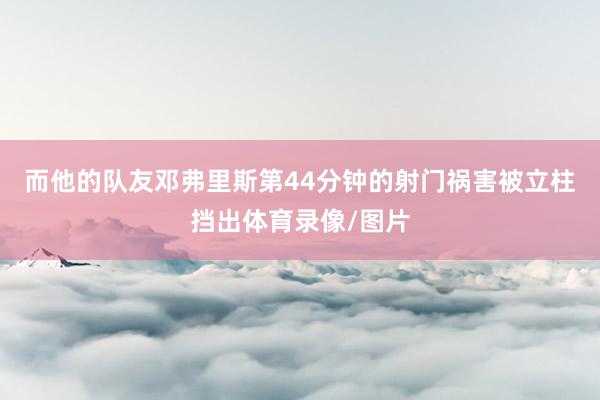 而他的队友邓弗里斯第44分钟的射门祸害被立柱挡出体育录像/图片