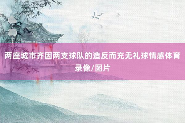 两座城市齐因两支球队的造反而充无礼球情感体育录像/图片
