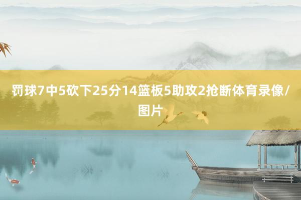 罚球7中5砍下25分14篮板5助攻2抢断体育录像/图片