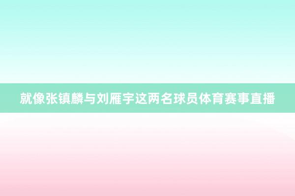 就像张镇麟与刘雁宇这两名球员体育赛事直播