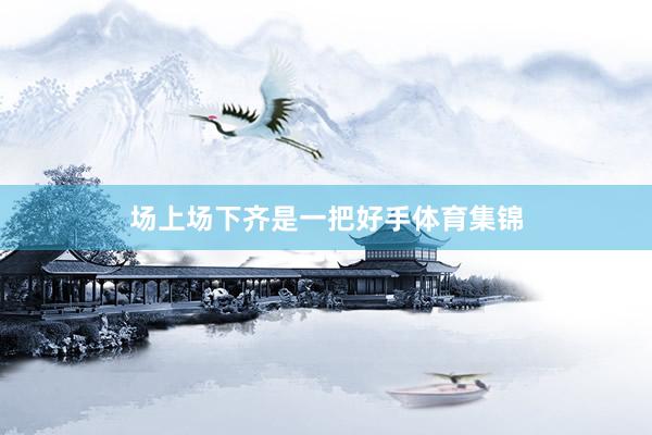 场上场下齐是一把好手体育集锦