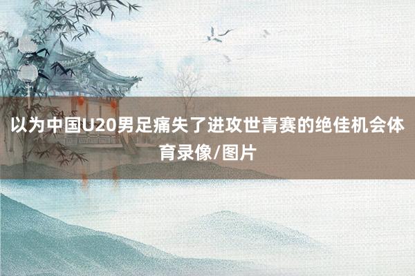 以为中国U20男足痛失了进攻世青赛的绝佳机会体育录像/图片
