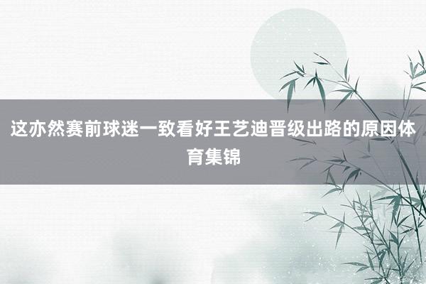 这亦然赛前球迷一致看好王艺迪晋级出路的原因体育集锦
