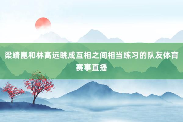 梁靖崑和林高远眺成互相之间相当练习的队友体育赛事直播