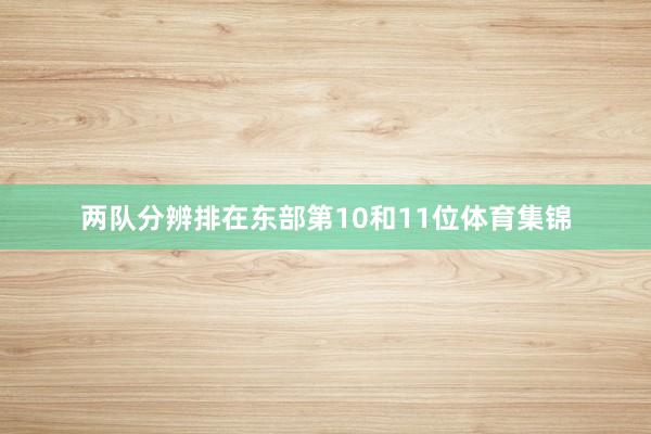 两队分辨排在东部第10和11位体育集锦