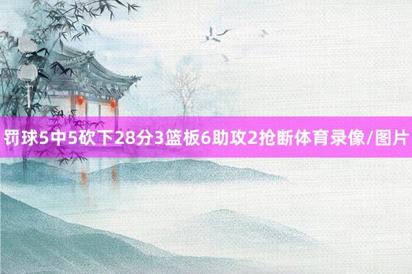 罚球5中5砍下28分3篮板6助攻2抢断体育录像/图片