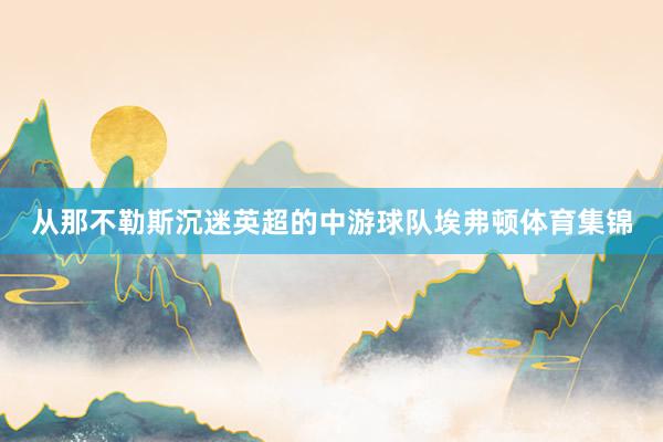 从那不勒斯沉迷英超的中游球队埃弗顿体育集锦