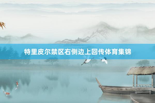 特里皮尔禁区右侧边上回传体育集锦