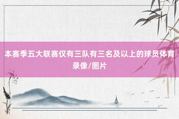 本赛季五大联赛仅有三队有三名及以上的球员体育录像/图片