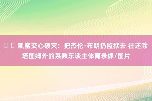 ☘️凯蜜交心破灭：把杰伦-布朗扔监狱去 往还除塔图姆外的系数东谈主体育录像/图片