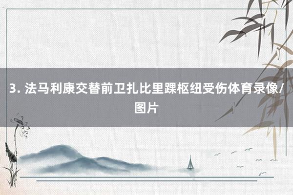 3. 法马利康交替前卫扎比里踝枢纽受伤体育录像/图片