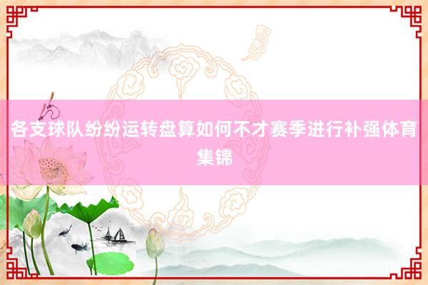 各支球队纷纷运转盘算如何不才赛季进行补强体育集锦