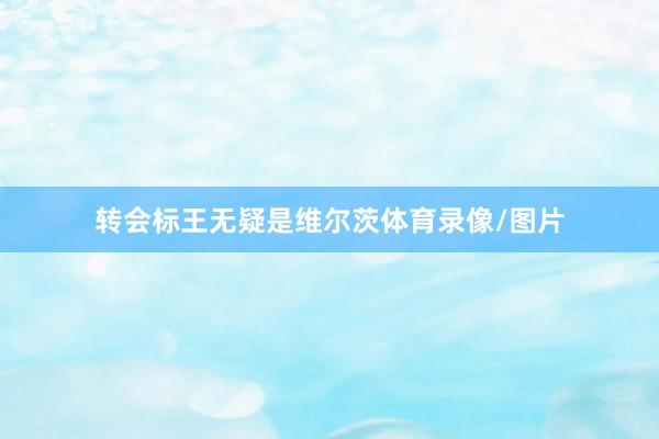 转会标王无疑是维尔茨体育录像/图片