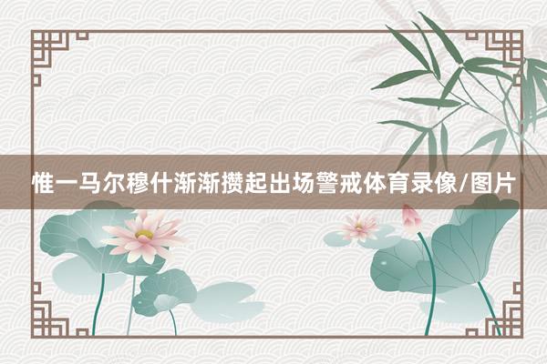 惟一马尔穆什渐渐攒起出场警戒体育录像/图片