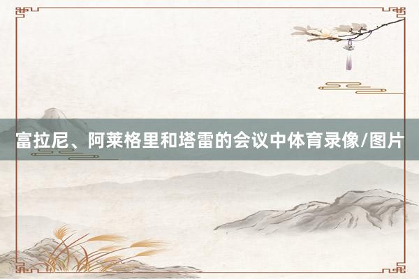 富拉尼、阿莱格里和塔雷的会议中体育录像/图片