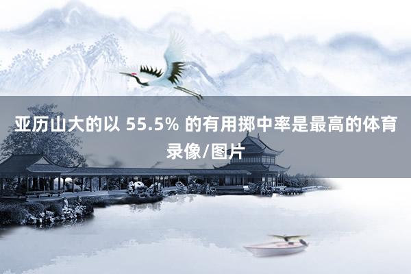 亚历山大的以 55.5% 的有用掷中率是最高的体育录像/图片