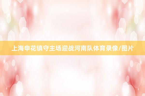 上海申花镇守主场迎战河南队体育录像/图片