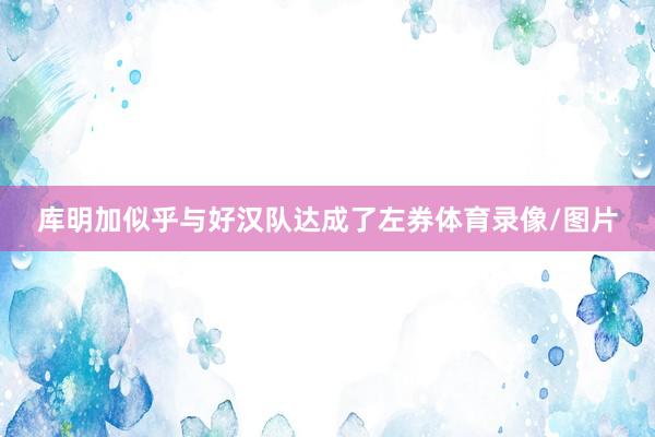 库明加似乎与好汉队达成了左券体育录像/图片