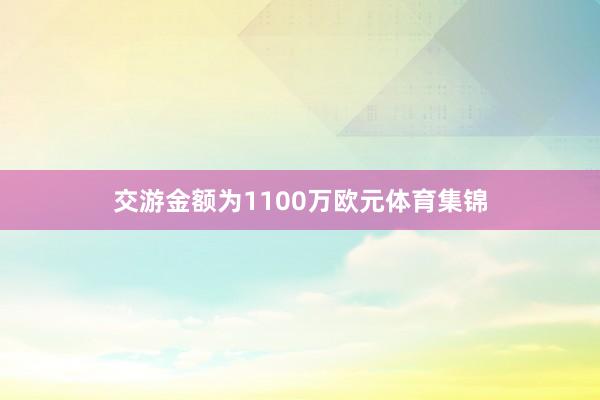 交游金额为1100万欧元体育集锦