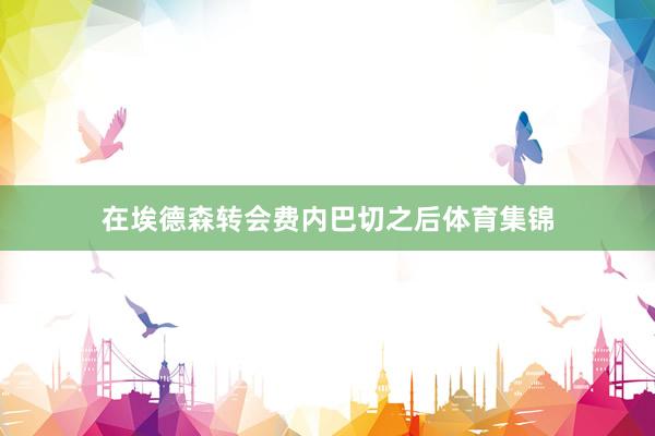 在埃德森转会费内巴切之后体育集锦