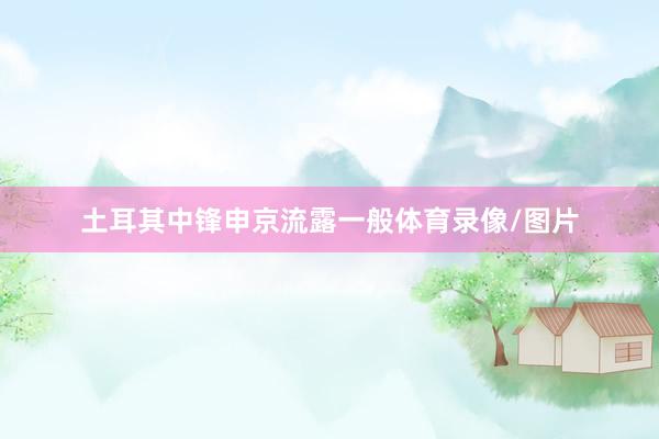 土耳其中锋申京流露一般体育录像/图片