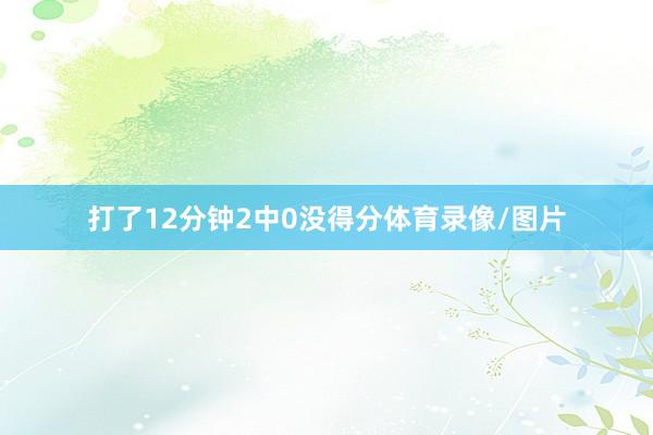 打了12分钟2中0没得分体育录像/图片