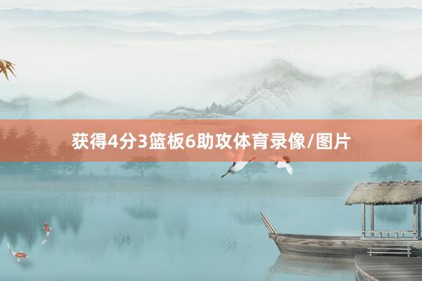 获得4分3篮板6助攻体育录像/图片