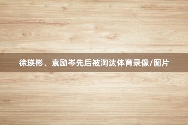 徐瑛彬、袁励岑先后被淘汰体育录像/图片