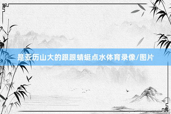 是亚历山大的跟跟蜻蜓点水体育录像/图片