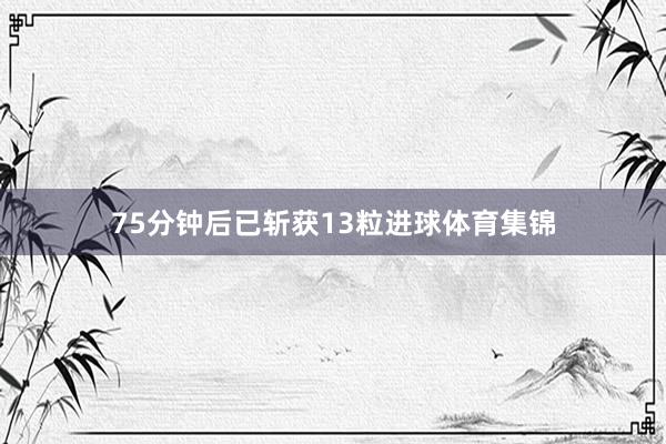 75分钟后已斩获13粒进球体育集锦
