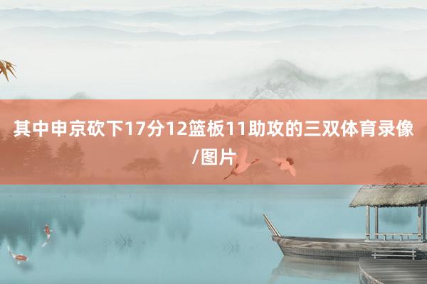 其中申京砍下17分12篮板11助攻的三双体育录像/图片