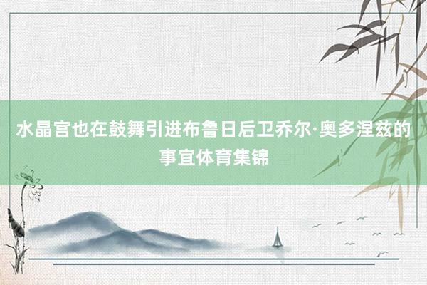 水晶宫也在鼓舞引进布鲁日后卫乔尔·奥多涅兹的事宜体育集锦