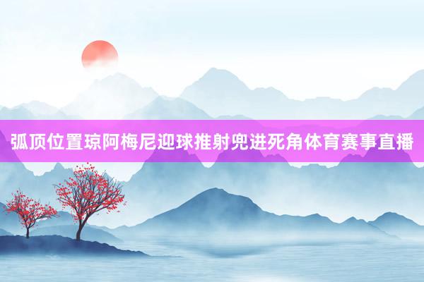 弧顶位置琼阿梅尼迎球推射兜进死角体育赛事直播