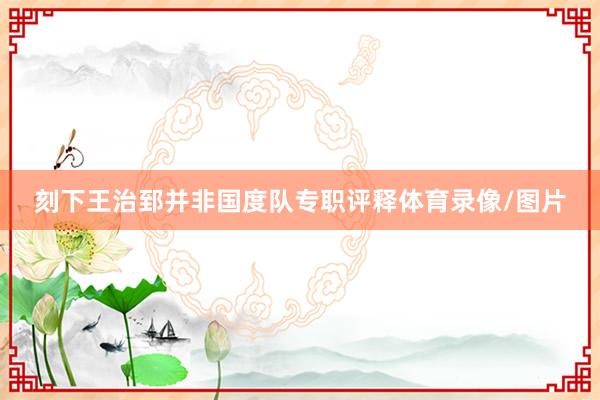 刻下王治郅并非国度队专职评释体育录像/图片