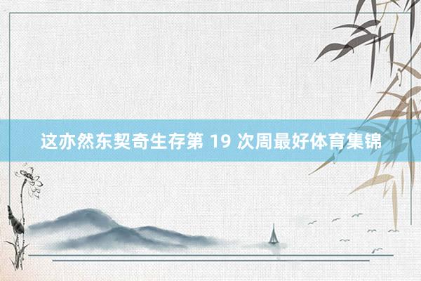 这亦然东契奇生存第 19 次周最好体育集锦