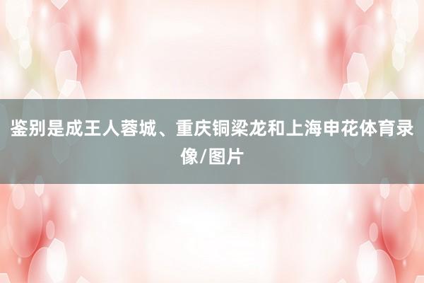 鉴别是成王人蓉城、重庆铜梁龙和上海申花体育录像/图片