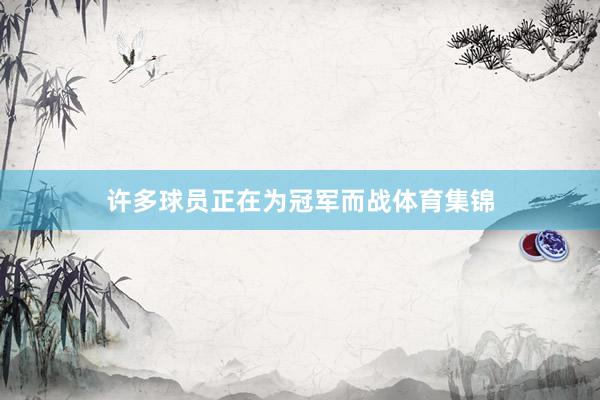 许多球员正在为冠军而战体育集锦