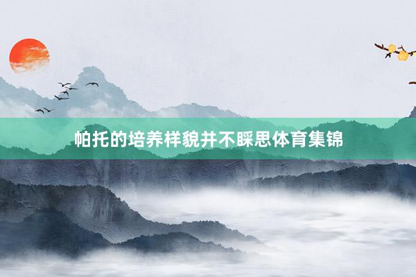 帕托的培养样貌并不睬思体育集锦