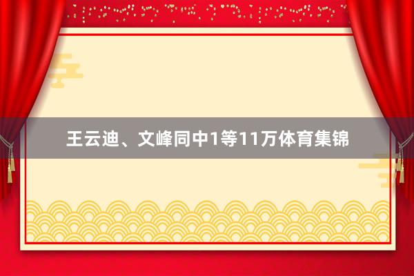 王云迪、文峰同中1等11万体育集锦