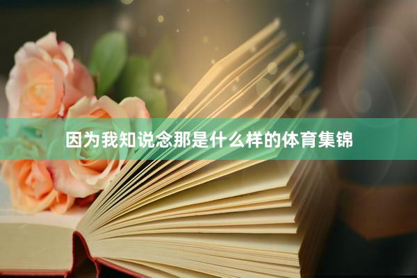 因为我知说念那是什么样的体育集锦