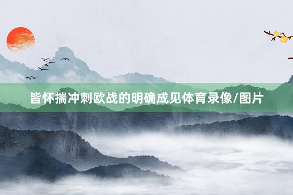 皆怀揣冲刺欧战的明确成见体育录像/图片