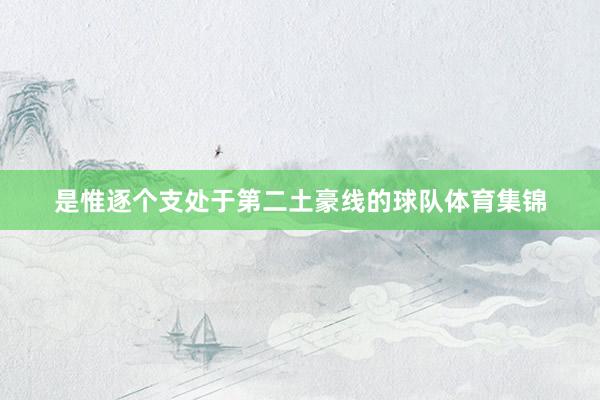 是惟逐个支处于第二土豪线的球队体育集锦