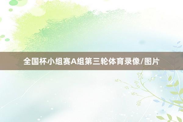 全国杯小组赛A组第三轮体育录像/图片